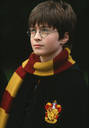 harry2.jpg